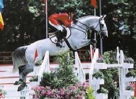 Cavaleiros seleccionados para o Campeonato da Europa 2004