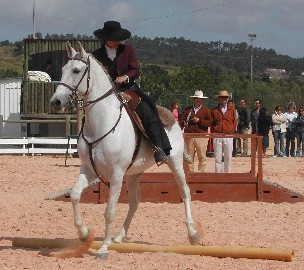 Cavaleiros do Centro Equestre João Cardiga em Santarém