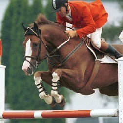 Ian Millar em Atenas 2004