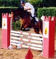 VII Festival de Saltos de Obstáculos de S. Teotónio