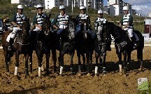 Vitória do Sporting Horseball frente à Cascais Horseball