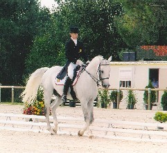 Conjuntos Portugueses no Campeonato da Europa de Dressage