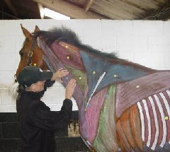 Equinenergy oferece cursos de massagem equina