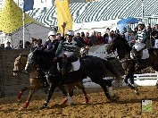 Horseball na Feira da Moita