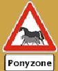 Ponyzone organiza Clínicas de Verão