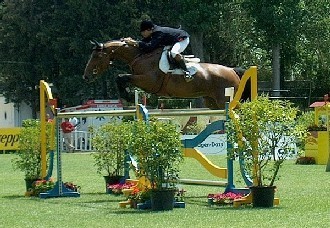 Portela Carneiro venceu o G.P. do CSI* de Coimbra