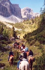 Pré Inscrição Curso de Reciclagem de Monitores de TREC