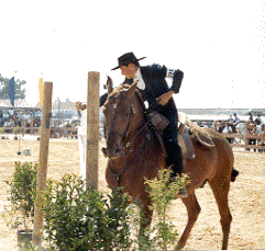 Moita recebe VIII Feira Equestre