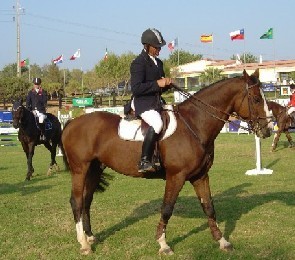 Chuva o melhor português na 2ª Jornada de Portimão