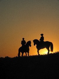 A arte de fazer dos PSI e poldros os melhores modelos