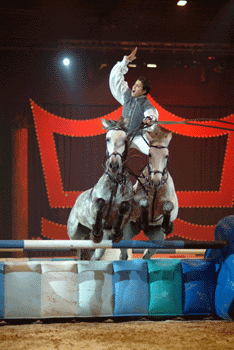 Porto capital do Mundo Equestre