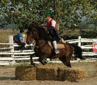 EQUIMAGOS: Campino e Forcado homenageados