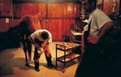 1º Troféu Nacional de Ferradores