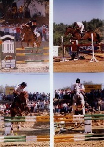 II Festival Hípico do Sardoal