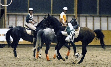 HORSEBALL: Taça de Portugal de Horseball na Golegã