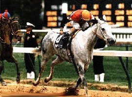 Portugal: Apostas em cavalos de corridas