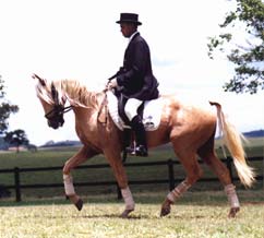 PSL Brasileiro triunfou em Forth Worth