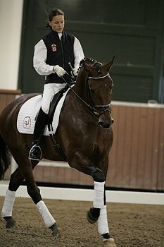 4º Global Dressage Forum na Holanda