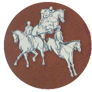 Concurso Nacional Combinado de Mafra