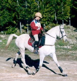 Portugueses no Campeonato do Mundo de Endurance - Dubai