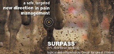 USEF permite o uso de «Surpass»