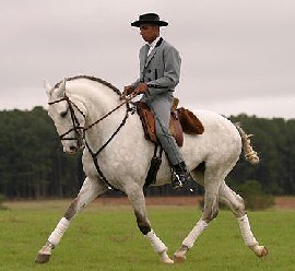 Americanos foram os grandes compradores dos cavalos PSL no Brasil