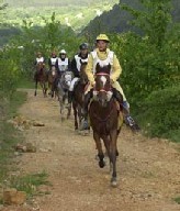 TREC Porto Open 2004