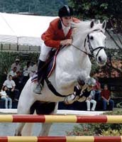 PSL promessa Gaúcha