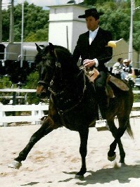 João Cardiga distinguido com a Medalha de Mérito