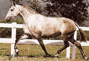 Um dia nasceu algo interessante,,,