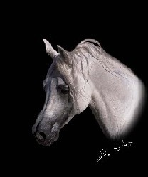 Instituto Luso-Árabe Junta Figuras Internacionais