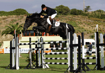 Luís Sabino vende Vainqueur a Jos Lansink...