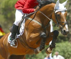 Selecção para 2005 - Juniores e Jovens Cavaleiros.