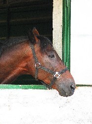 Os desafios para 2005...