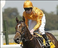 Ministro da Agricultura quer corridas de cavalos