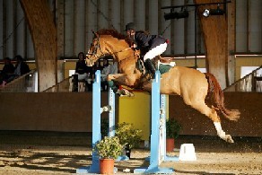 Salão Internacional do Cavalo de Desporto