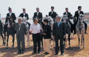 Campeonato da Europa de Equitação de Trabalho - Verona