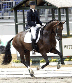 Florencio sofre de Arterite Viral Equina