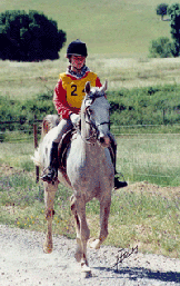 CEN**/*/CEP – Herdade das Coutadas - Portalegre