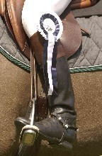 2ª Jornada - Cavalos Novos - Vilamoura