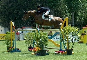 Portugueses destacam-se em Vilamoura