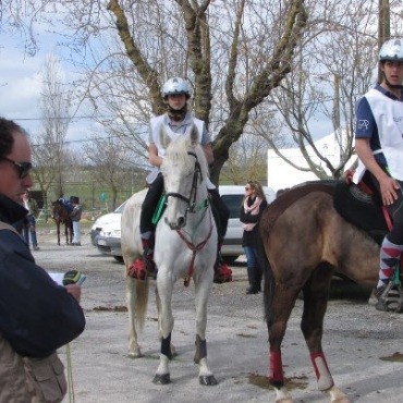 «Évora Património Mundial» - V Passeio Equestre