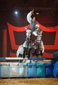 EQUUS 2005 – II Salão Internacional do Cavalo