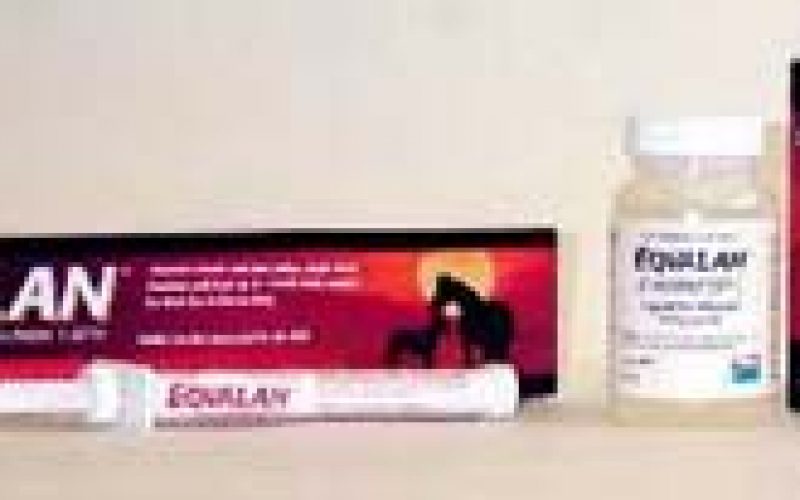 MERIAL lança Eqvalan Duo EQUISPORT