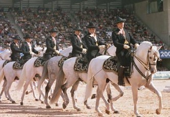 Rede Europeia de Cidades do Cavalo