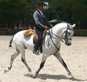 Festival do Cavalo de Curitiba