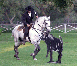 EQ.TRABALHO: Curso de Juízes em Abril