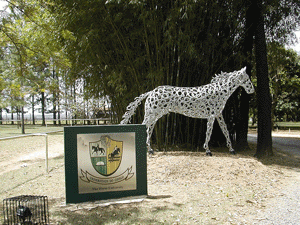 Equisport celebra parceria com a U.C.