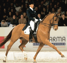 Vários cavaleiros tentam o apuramento na Holanda