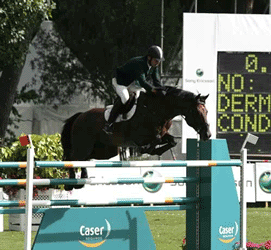 COMPLETO: Seabra em grande forma em Madrid